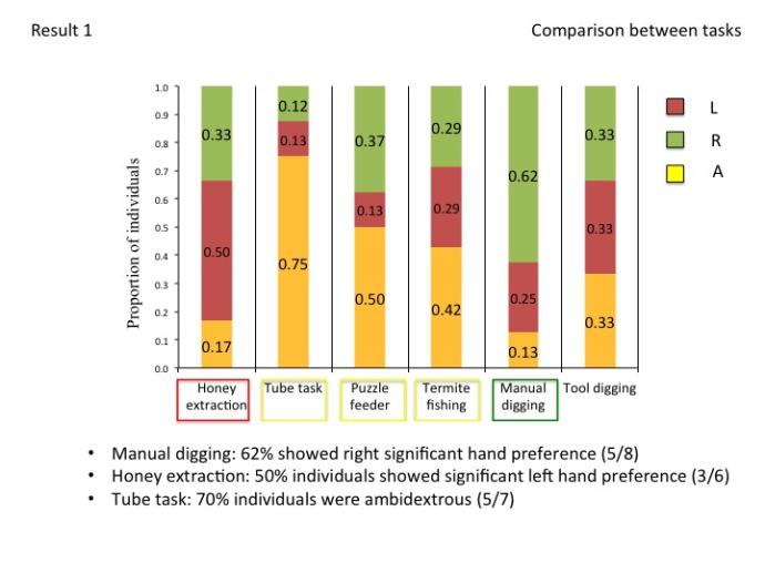 Proportion of individuals classified in the different hand preference groups (green= right-hand preference, yellow= no hand preference, red=left-hand preference) according to their z-scores when tested in the 6 different tasks.  The color of the square around the tasks names indicates the biggest hand preference group in the task.