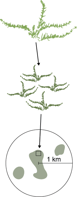 Three spatial scales